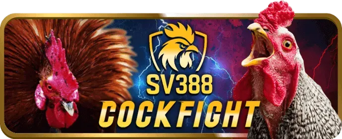 Khuyến mãi & Tin tức vntop88 win